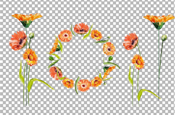 Download Watercolor Flower Bouquet and Frame Clip - Flower bouquet Collection