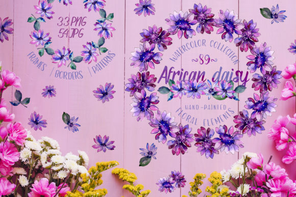 Download African Daisy Watercolor - Daisy watercolor Collection